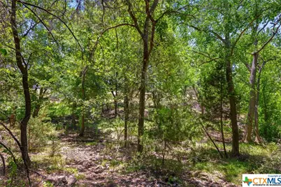 21465 Lakefront Drive, Lago Vista, TX 78645 - Photo 6