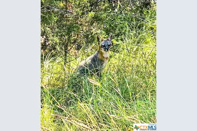 1841 Oak Meadows, Canyon Lake, TX 78133 - Photo 18