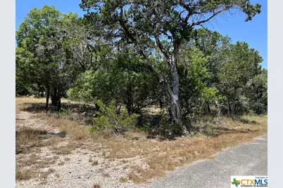 619 Cactus Flower, Canyon Lake, TX 78133 - Photo 14