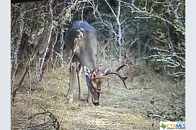 13004 Fm 3353, Kingsbury, TX 78638 - Photo 16