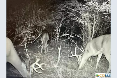 13004 Fm 3353, Kingsbury, TX 78638 - Photo 2