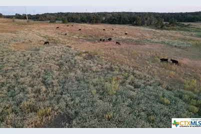Tbd County Road 449, Thorndale, TX 76577 - Photo 4