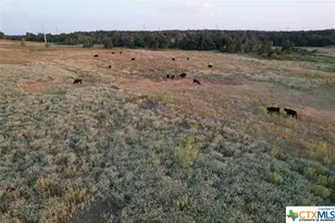 1768 Co Rd 449, Thorndale, TX 76577 - Photo 4