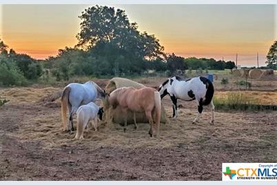 6514 W Hwy 190, Belton, TX 76513 - Photo 14