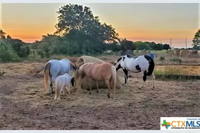 6514 W Hwy 190 (I-14), Belton, TX 76513 - Photo 18