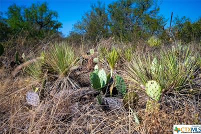 11865 W Ranch Road 152 Tract 1, Llano, TX 78643 - Photo 20
