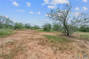 3597 Baker Rd, Kingsbury, TX 78638 - Photo 20