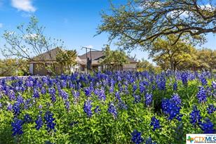 300 Logans Way, Blanco, TX 78606 - Photo 2