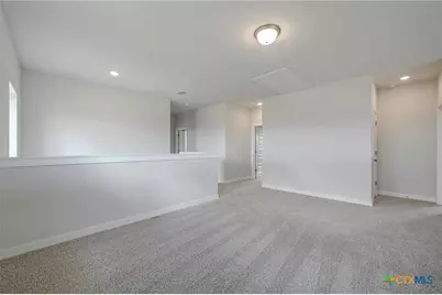 1579 Estelea Grove, New Braunfels, TX 78130 - Photo 28