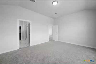 1591 Estelea Grove, New Braunfels, TX 78130 - Photo 16