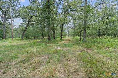 3597 Baker Road, Kingsbury, TX 78638 - Photo 14