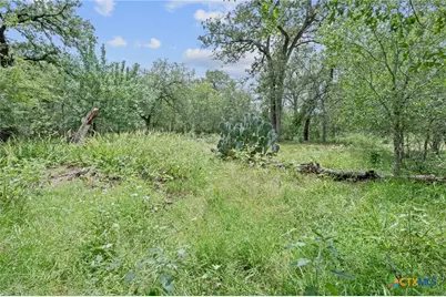 3597 Baker Road, Kingsbury, TX 78638 - Photo 10