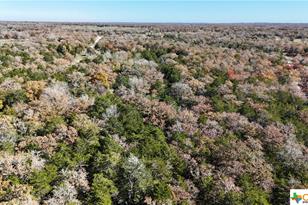 Tbd Herman Ln, Flatonia, TX 78941 - Photo 28