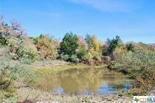 Tbd Herman Ln, Flatonia, TX 78941 - Photo 16