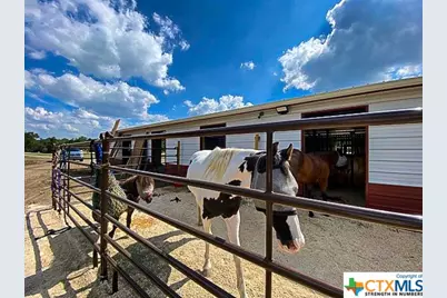 Tbd Oak Meadows Meadows, Canyon Lake, TX 78133 - Photo 8