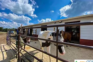 Tbd Oak Meadows Meadows, Canyon Lake, TX 78133 - Photo 8