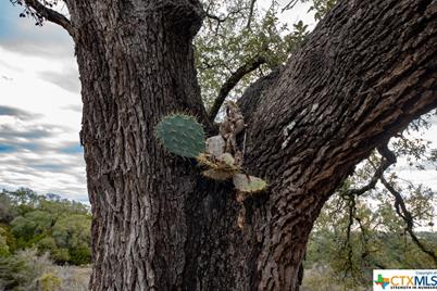 1218 Pinot Noir, New Braunfels, TX 78132 - Photo 28