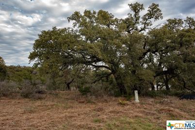 1218 Pinot Noir, New Braunfels, TX 78132 - Photo 2