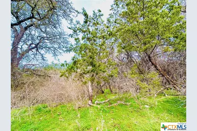 Tbd 2 County Rd 107, Gatesville, TX 76528 - Photo 8