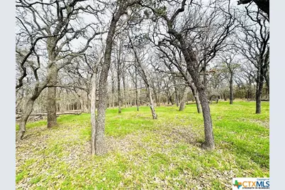 Tbd 2 County Rd 107, Gatesville, TX 76528 - Photo 6