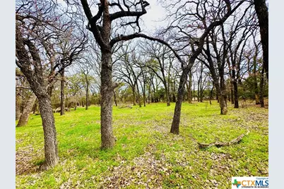 Tbd 2 County Rd 107, Gatesville, TX 76528 - Photo 6