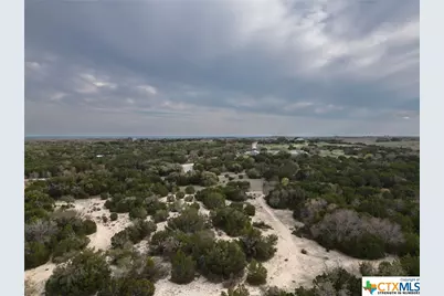 50.44 Acres County Road 3100, Kempner, TX 76539 - Photo 6