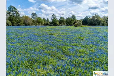 1255 Cr 260, Hallettsville, TX 77964 - Photo 36