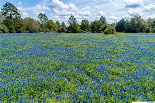 1255 Cr 260, Hallettsville, TX 77964 - Photo 36