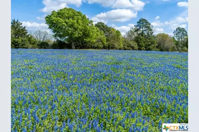 1255 Cr 260, Hallettsville, TX 77964 - Photo 2
