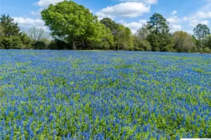 1255 Cr 260, Hallettsville, TX 77964 - Photo 2