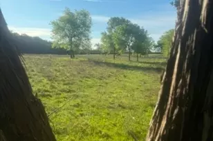 1291 Tweedy Rd, Valley Mills, TX 76689 - Photo 20