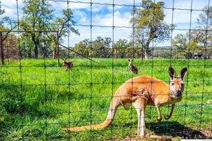 761 Allison Ln, San Marcos, TX 78666 - Photo 44