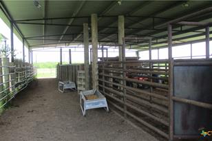 6018 County Rd 18, Damon, TX 77430 - Photo 6