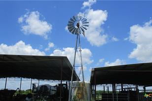 6018 County Rd 18, Damon, TX 77430 - Photo 32