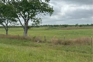 3036 Fm 1518 Hwy, St Hedwig, TX 78218 - Photo 8