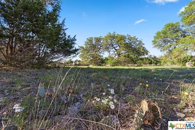 325 S Calvin Barrett, Blanco, TX 78606 - Photo 8