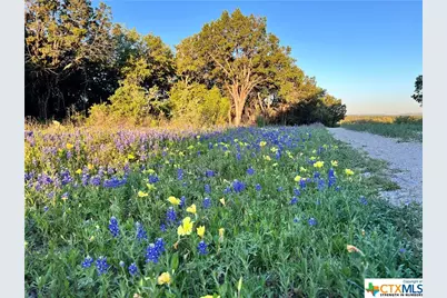 1817 Lutheran Church Road, Copperas Cove, TX 76522 - Photo 2