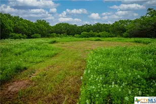 000 La Vernia Rd, Adkins, TX 78101 - Photo 34