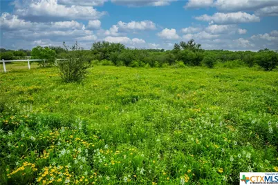 000 La Vernia Road, Adkins, TX 78101 - Photo 20