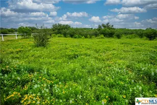 000 La Vernia Rd, Adkins, TX 78101 - Photo 20