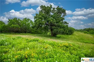 000 La Vernia Rd, Adkins, TX 78101 - Photo 36