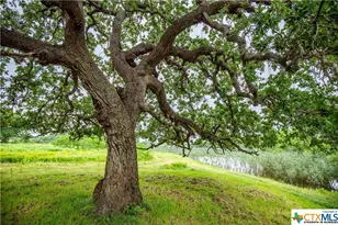 000 La Vernia Rd, Adkins, TX 78101 - Photo 30