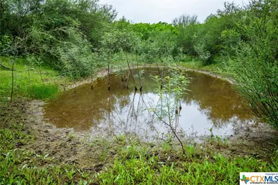 000 La Vernia Road, Adkins, TX 78101 - Photo 26