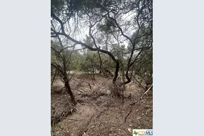 809 Scenic Run, Canyon Lake, TX 78133 - Photo 8