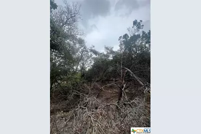 809 Scenic Run, Canyon Lake, TX 78133 - Photo 6