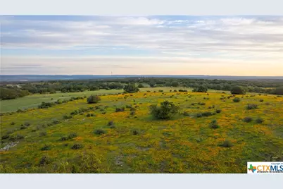 5271 Hwy 290 W, Hye, TX 78635 - Photo 6