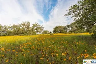 5271 Hwy 290 W, Hye, TX 78635 - Photo 38