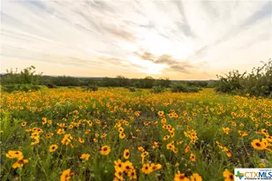 5271 Hwy 290 W, Hye, TX 78635 - Photo 36