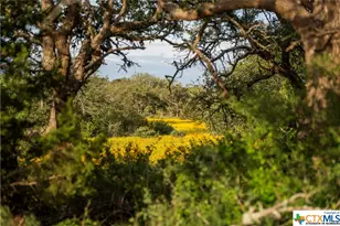 5271 Hwy 290 W, Hye, TX 78635 - Photo 34