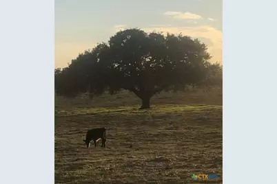 2700 Cr 400 Road, Yoakum, TX 77995 - Photo 20